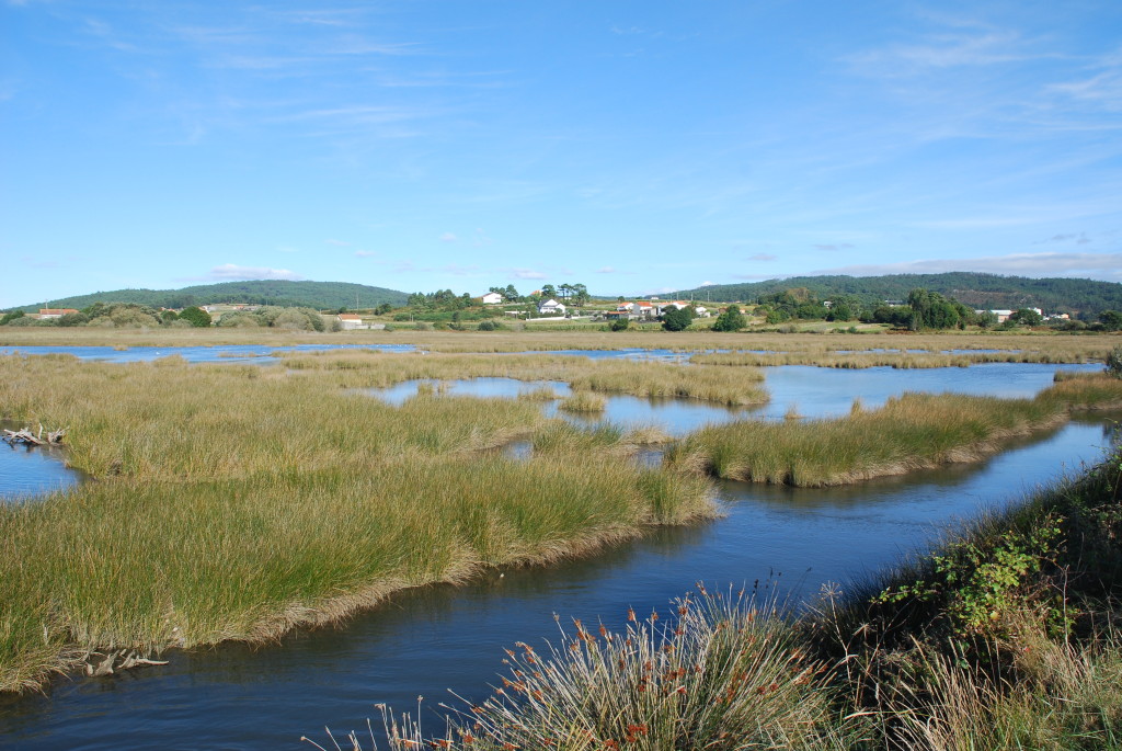 Schwemmland des Anllóns - Galicien
